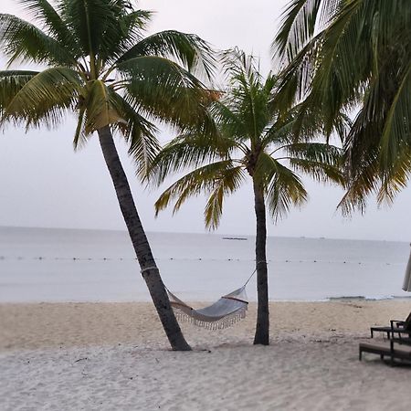 Stella Marina Boutique Hotel フーコック エクステリア 写真